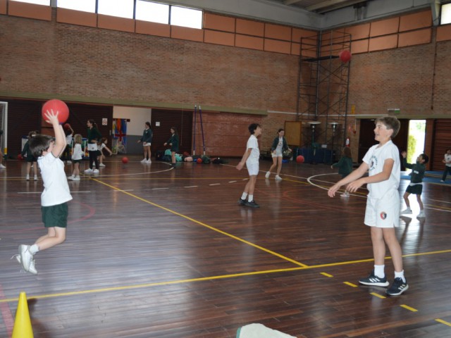 DSC_0182 (Medium).JPG